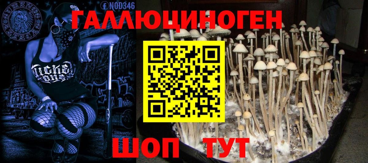 Галлюциногенные грибы прущие грибы Егорьевск