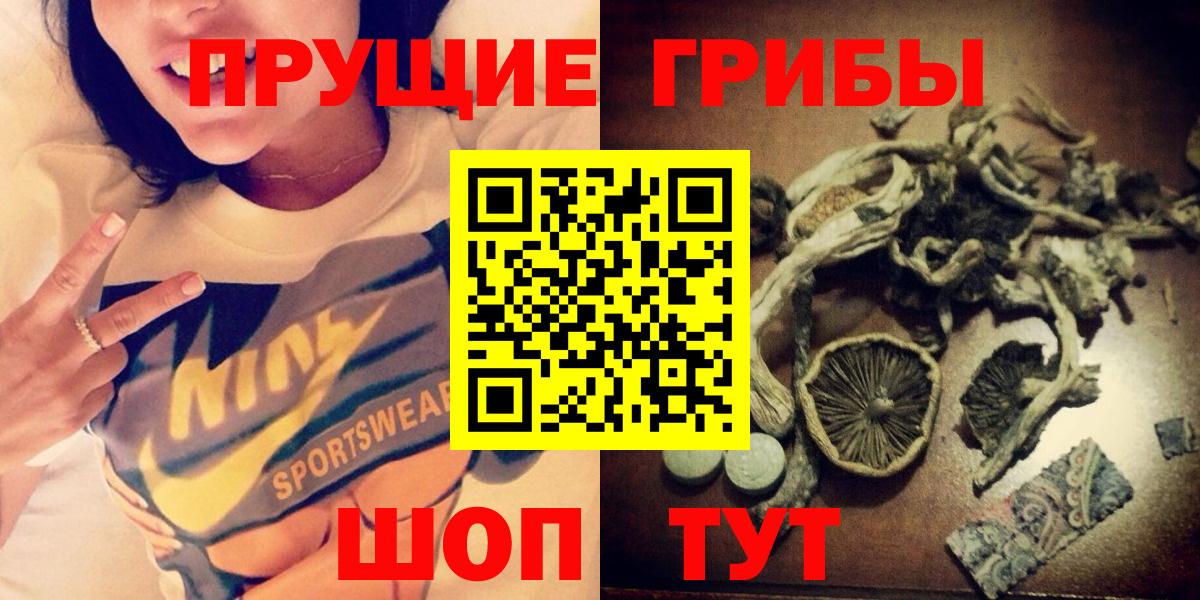 Псилоцибиновые грибы Psilocybe  Галлюциногенные грибы прущие грибы  Вход с VPN  Егорьевск 